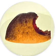 Load image into Gallery viewer, BarbacoApparel Magnets

