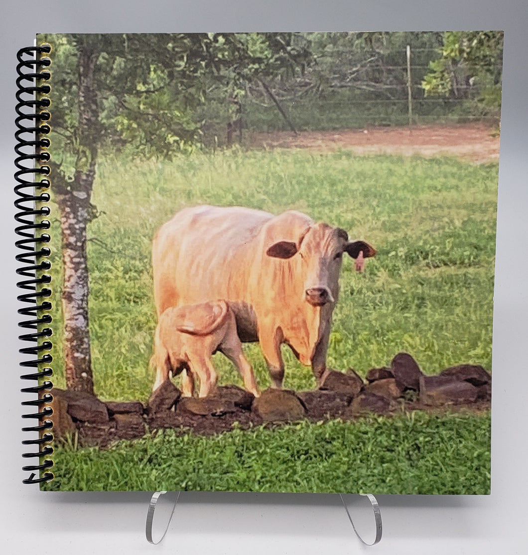 Cattle Notebook - Wilcox Ranch