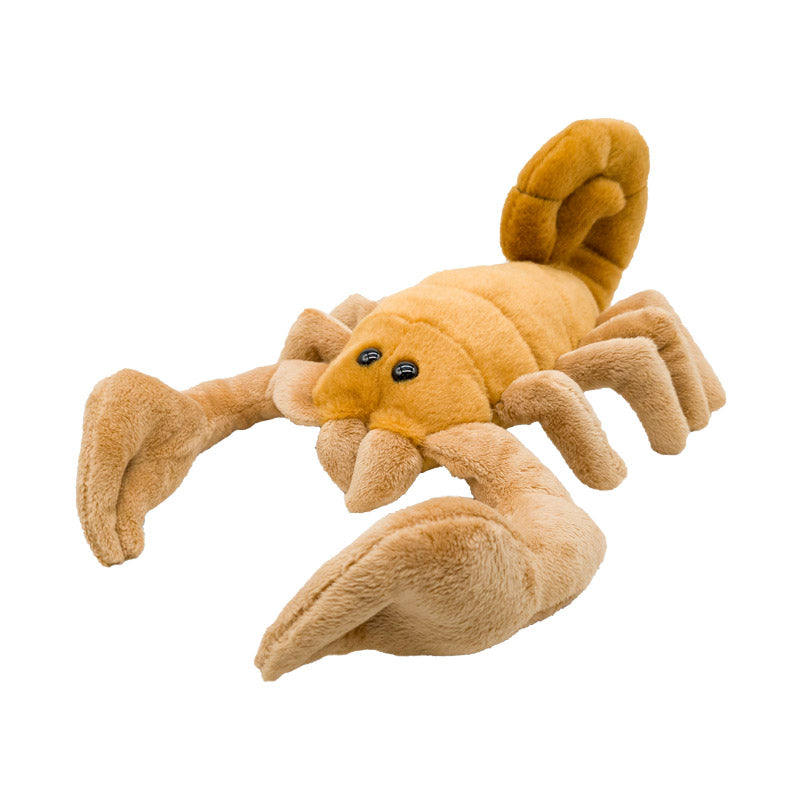 Scorpion 12