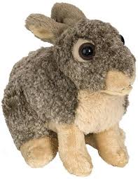 Rabbit 12