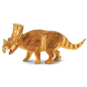 Vagaceratops - WS