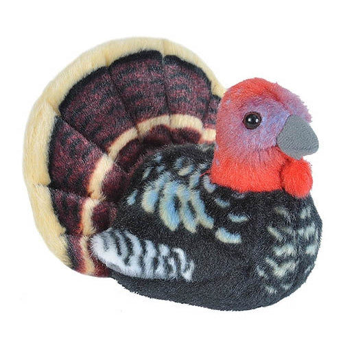 Wild Turkey-Audubon